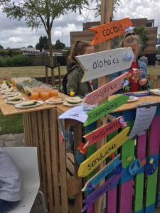 ibiza ondernemersmarkt